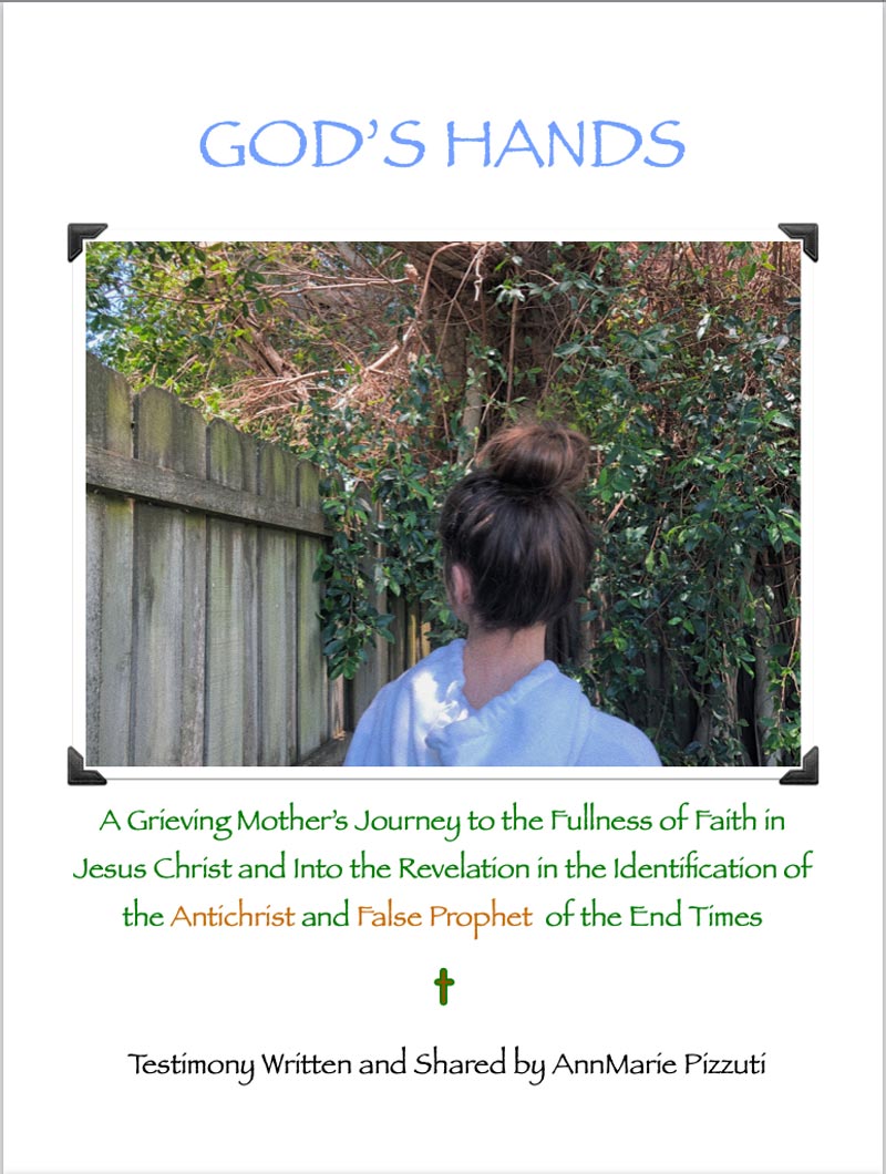 Book GOD'S HANDS